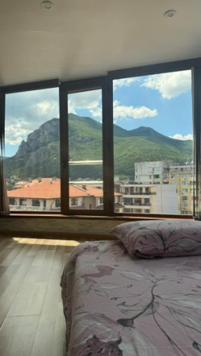 Amazing View Apartment